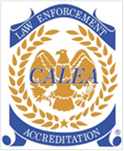 CALEA标定